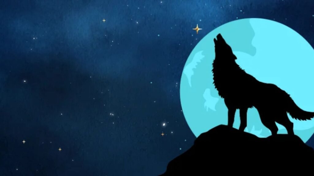 Wolf Winner Casino Australia CashtoCode Voucher Payments
